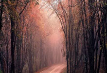 TK体育：【精彩时刻】泽卡“单刀”入选中超第二轮五佳球.