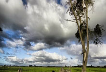 TK体育：输给樊振东后，王楚钦发文：请期待我满血归来九派新闻.