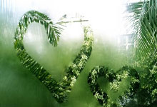 [高尔夫]女子排名：高宝璟重上第二 朴宝谦夺冠进入前100.