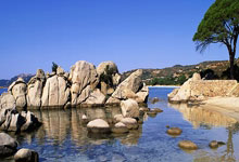 东体预测国足首发：塞尔吉尼奥、汪海健坐镇中场，拜合拉木先发.